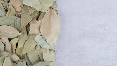 Dry green bay leaves on concrete background. High quality photo